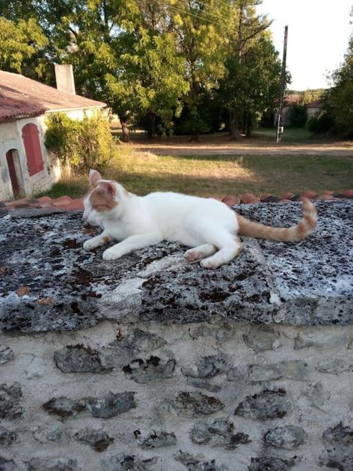 As Seen On A New Life In The Sun - Beautiful 3 Bedroom Cottage With Shared Pool Montboyer Екстериор снимка