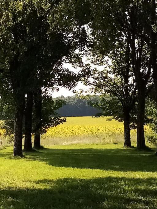 As Seen On A New Life In The Sun - Beautiful 3 Bedroom Cottage With Shared Pool Montboyer Екстериор снимка